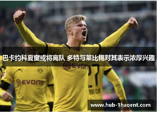 巴卡约科夏窗或将离队 多特与莱比锡对其表示浓厚兴趣