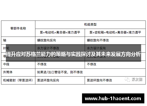 提升应对苏格兰能力的策略与实践探讨及其未来发展方向分析 提升应对苏格兰能力的策略与实践探讨及其未来发展方向分析