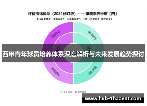 西甲青年球员培养体系深度解析与未来发展趋势探讨